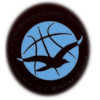 https://img.wqfjtz.com/img/basketball/team/1a45d903dafdcc026ec9809d9916a681.png