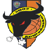 https://img.wqfjtz.com/img/basketball/team/c1db3c6c020f4ef09a4120fc0f7ff429.png