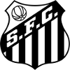 https://img.wqfjtz.com/img/football/team/674171a5ca8e8fd3a9784bec35afb185.png